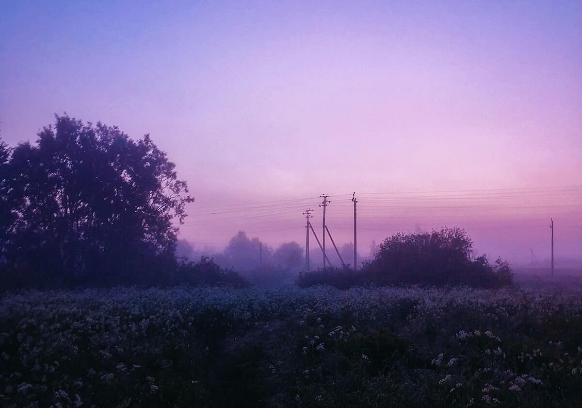 碳酸锂期货价格大跌 业内人士:主要受1月新能源汽车销售数据下滑影响